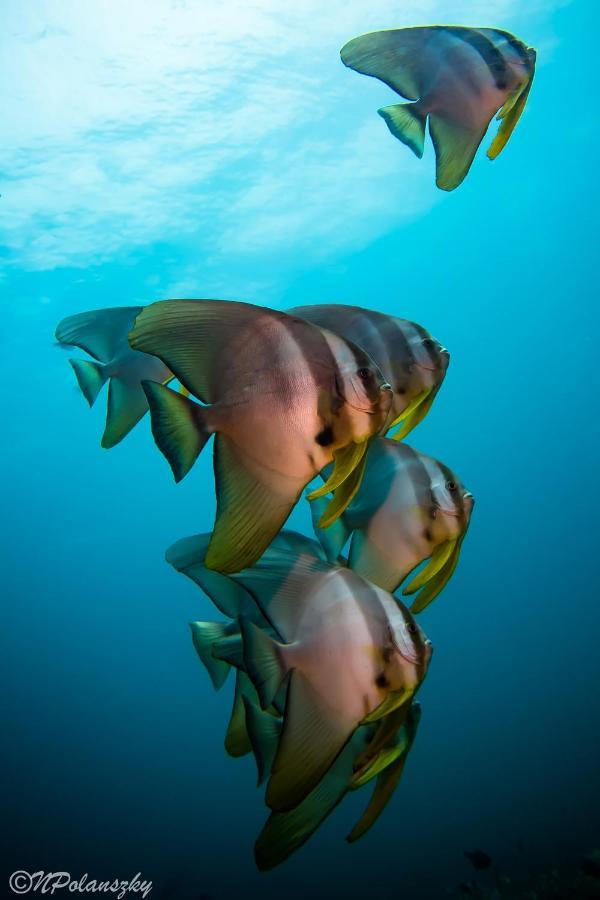 Forra Dive Resort Sunrise Koh Lipe Exterior photo