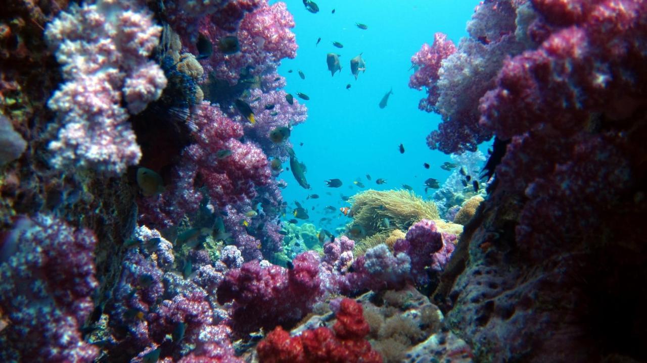 Forra Dive Resort Sunrise Koh Lipe Exterior photo
