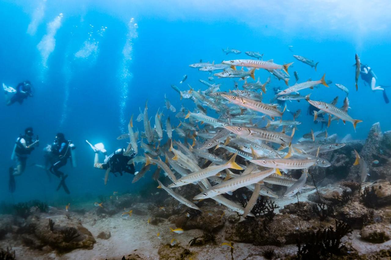 Forra Dive Resort Sunrise Koh Lipe Exterior photo