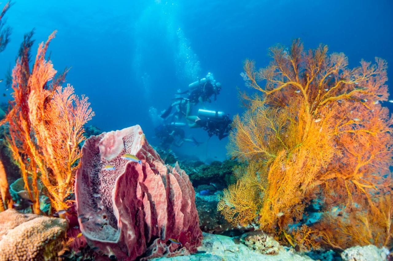 Forra Dive Resort Sunrise Koh Lipe Exterior photo